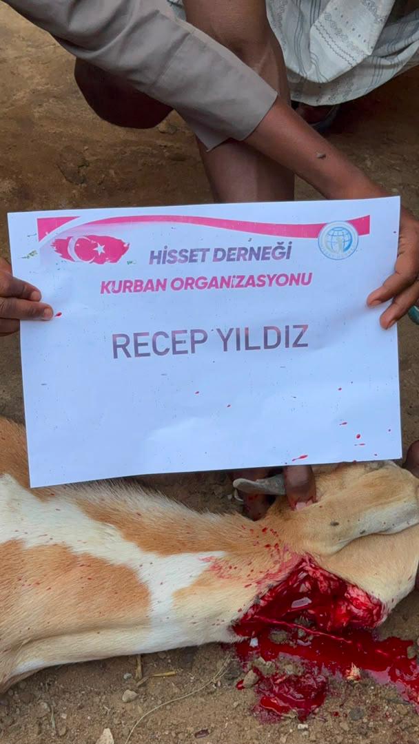 Hisset Derneği sahadan görüntüler